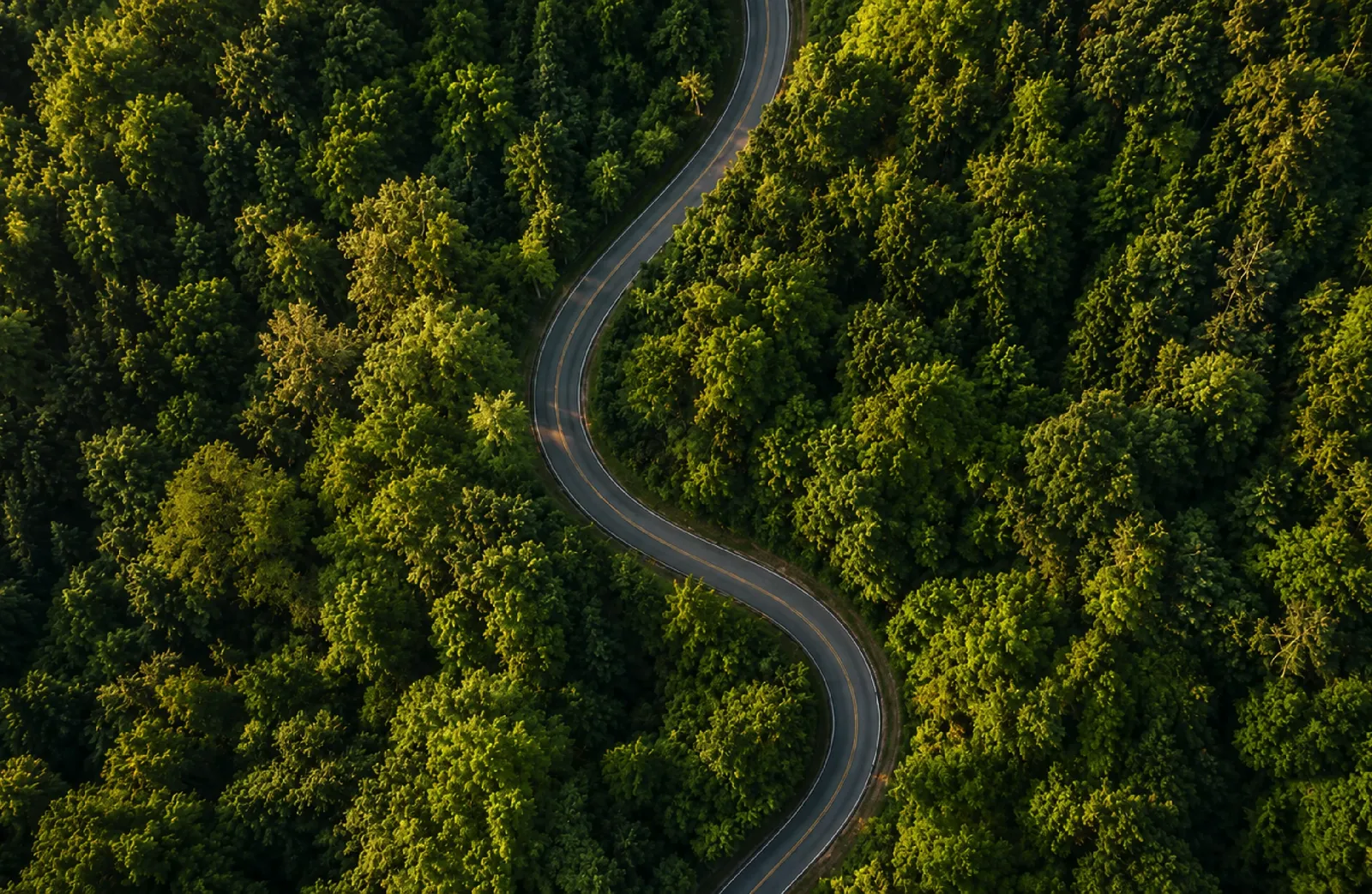 Decarbonisation pathways